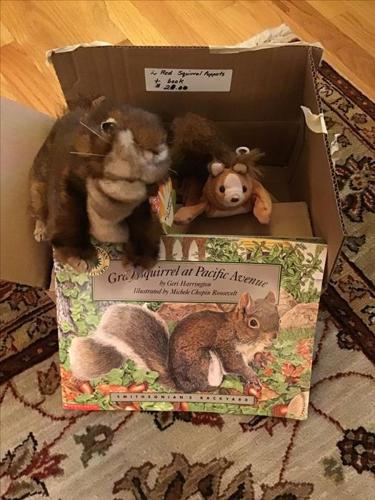 2 Red squirrels plus book
