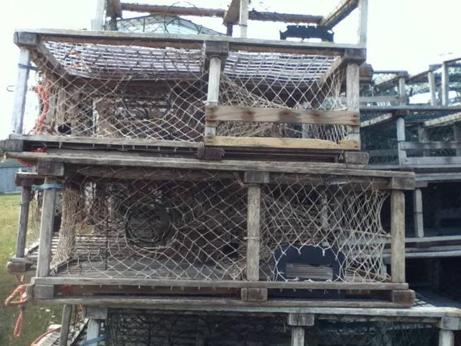 39 inch Lobster Traps