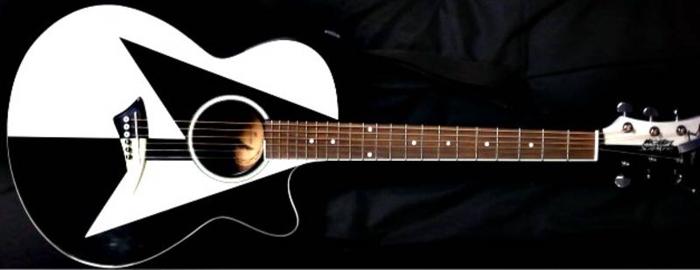 Dean Electric Acoustic Guitar (MichealSchenker Signature Series)