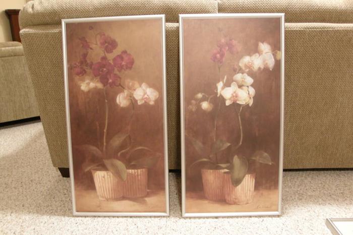 Set of Orchid prints; professionally framed
