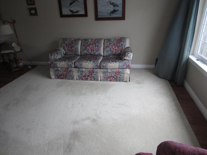 Sofa, Love seat and 9.5 x 12 carpet