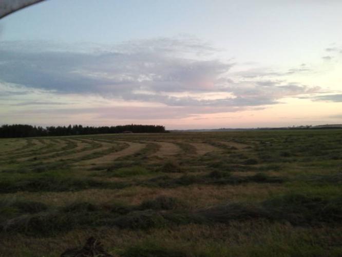square hay bales for sale, mixed grass and alfalfa
