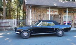 Make
Ford
Model
Mustang
Year
1968
Colour
Black on Black
16,000 OBO
model year 1968
Assembly Plant San Jose
Body serial 2 door convertible
Engine 8 cyl 289 cu in
consecutive unit 17022
color code 3073-A Gold Metalic
trim Black Vinyl
Date code First Year 18