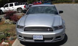 Make
Ford
Year
2014
Colour
Silver
Trans
Manual
kms
31300
In excellent condition, I ordered it from the dealership so I am the only owner. It is an awesome car, It's never had any problems, and is super fun to drive. Regular oil changes every 5,000 KM as