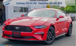 Make
Ford
Model
Mustang
Year
2019
Colour
Red
kms
911
Trans
Automatic
Price: $29,988
Stock Number: 17302A
VIN: 1FA6P8TH6K5105210
Engine: 310HP 2.3L 4 Cylinder Engine
Cylinders: 4
Fuel: Gasoline
Low Mileage!
Check out our large selection of pre-owned