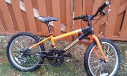 Two 20" kids mountain bikes in good condition. $100/each or best offer.