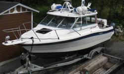 (1987) 21 ft Bayliner Trophy Hard Top (with Alaskan bulkhead).
- Podded, incl kicker mount and Swim platform / ladder (24 ft LOA).
- 200 HP Evinrude FICHT (2001 / 2 stroke 1st gen E-Tec). Low hours, incl computer diagnostic cable and software).
- 8 HP