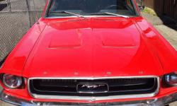 Make
Ford
Model
Mustang
Year
1967
Colour
Red
Trans
Automatic
67 Mustang - frame up rebuild
Body & paint - Dave Bennett Restorations
Interior - Dave Bennett Restorations
Transmission rebuild - Metco Transmissions
Frame rebuild by Dale Robinson - Metchosin