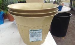 9 inch Mimosa Natural Fiber pot
Regular 9.99
Now on sale for only 7.00
VIsit us at
URban Oasis Garden Center
4649 West Saanich Road
Tuesday - Sunday 10.00 - 4.30