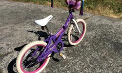 Child's bicycle with 18" wheels in excellent condition.