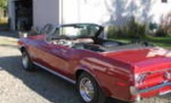 Uptown Cruisers , Your best choice for Classic Muscle car parts!!!!!!!
 
 1965 to 1973 Ford Mustangs
 
Camaro, Firebird,Nova, Impalla, Gm and Chev Trucks
Introduciing a newLine of Mopar Parts
 
Sheet metal,  Exterior Chrome, Interior kits and Pieces,