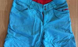 Dakine MTB shorts, baby blue with red trim, amazing shape, fairly baggy.