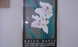 Decorative print of white orchids in brass frame.
Measures 25.5" x 37"
Very good condition