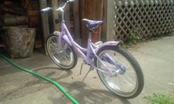 20" tires, single speed friction brake. Fits kids age 4 - 6 (22" to 29" seat height)