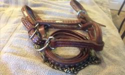 Western halter and reins with silver trim