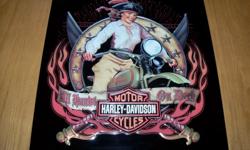 Harley Davidson sign--girl on motorcycle---13 in by 15 in
Please clickon VIEW SELLERS LIST above to see other items I have for sale
250 812 7765