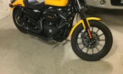 This bike is in excellent shape and runs awesome. It is fun to ride and easy to get around on. Is great just for plain cruising.
- forward controls ( have mid controls as well)
- two windshields tall and short
- Vance & Hines short shots with quiet
