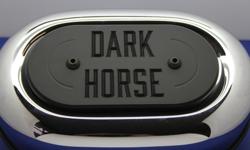 "Dark Horse" Slogan Air Filter Cover Insert.
Our Air Cleaner cover inserts are Custom CNC machined from high strength, 6061-T6 aircraft grade billet aluminum. Finished with a durable powder coat finish that will add class and style to your Harley Davidson