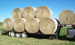 Have all kind of hay available.Some mixed alfalfa/grass and some straight grass.Some NO rain and some with one shower.All comes in round bales.Can deliver.Prices sarting at $55.00 a round bale. call 403 356 0200