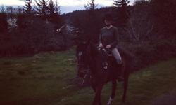 16.1hh TB for lease in Metchosin, BC - intermediate or experienced rider preferred. He goes english and western.
Sand round pen on property available to use, close to miles of trail riding, next to the galloping goose trails and a short hack down the road