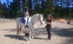 I aim to create an inspiring learning environment that motivates students, by expanding knowledge based on the science of equine behaviour and the principles of Mindfulness.
Horsemanship skills taught, on the ground begin with body-mind-emotional
