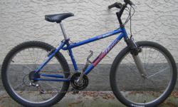Iron Horse - MT100
This bike, like all the bikes I have for sale, has been inspected, cleaned and repaired front to back including wheel straightening. You are getting a restored bicycle that should last a long time if properly cared for. A sixty day