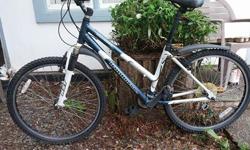 Adult Blue and White Ironhorse bike in good condition.