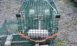 for sale 10 lobster traps 40 inches long 10 meshes deep never used a full season because of odd size.paid 72.00 each sell for 35.00 each.