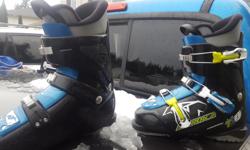 Nordica Ski Boots - Kids
size 24.5
3 years old
New $150
$50 obo