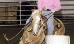 "Dennis" is a palomino gelding quarter horse (grade) . He has done high school rodeo, barrel racing, pole bending and breakaway roping. Have owned him for 4 years, has very good manners, loads , clips, shoes, gets along well with other horses and