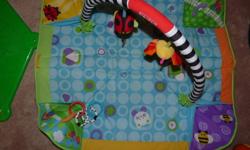 Fisher Price play mat, folds up with carrying handle.  Has attachable toys and rings.  Smoke free home.