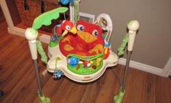 Rainforest Jumperoo in excellent condition from a clean smoke free home.
A Rainforest is a place full of wonderful sights and sounds?the Rainforest Jumperoo brings it all down to size for little explorers! Still tons of safe jumping fun (which will