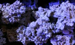 We have the best base rock you will find for your aquarium. This rock is the most porous, lightweight and has the greatest surface area of any rock we have seen. $2.99 per lb.
www.incredibleaquarium.com
