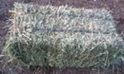 Small Square Hay Bales For Sale.
Some are Orchard Grass and Alfalfa Mix.
Some are Alfalfa and Orchard Grass Mix.
Also Have Some That Are Approx. 40% Alfalfa with Timothy and Grass Mix. -These Are Very Green Nice Bales.Stored in Shed.
Prices starting at