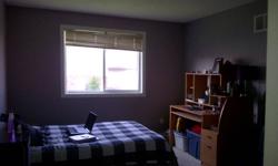 Spacious room available in student house, but willing to rent to non-students aswell. freshly painted, bright upstairs master bedroom with walk in closet. rent is 425 monthly which includes all necessities. Direct bus route to Brock around the corner.