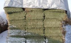 Square hay bales. 2nd cut alfalfa-grass mixture. Excellent quality. $4 a bale. Delivery available. 500 left. Ph.232-4746