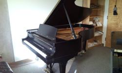 FOR SALE:  Steinway semi-concert grand piano model B, satin ebony finish, serial #471040 (circa 1981).  Well-used and well-worn, this piano is ready to be replaced.  Sold as-is, where-is.  Standard piano bench included, spider dolly not included.  Must be