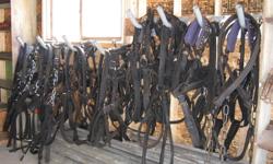 Fully reconditioned Horse Harness , various adjustable sizes. Harness $400.00 - Lines $50.00 - Bridles $50.00. Come have a look. Call 682-5104 Humboldt