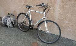 Super comfortable bike. Just tuned it up: cleaned and re-oiled chain, re-aligned fenders, re-aligned gears, tuned the brakes (newish pads). It's good to go. Not sure on frame size, but it's medium-large. I'm on the absolute low end, size-wise, and I'm