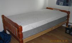 Mattress is an Ebony Collection, 100% Rayon, purchased at Mattress Mart. Extremely comfortable, great quality. Has only been used for guests and no stains. Reason for selling, we are downsizing.