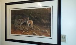 Wood framed print of Wolf $100
