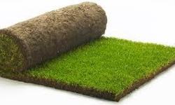 I have a spot for your leftover turf if you want to drop it off or I can pick up. Please text or call Trevor 250 709-5129
