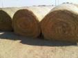 2011 Alfalfa/Grass Large Round Hay bales