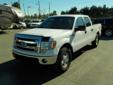 2014 Ford F-150 XLT SuperCrew 6.5-ft. Bed EcoBoost 4WD