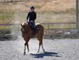 Horse for Lease: Metchosin, BC