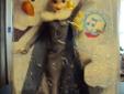musical elsa doll and lunch kit