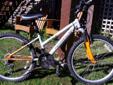 Norco Diva 12.5" lightweight girl's Mountain Bike